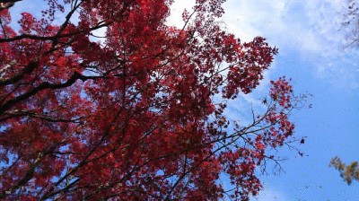 IMG_20191201_223509_643