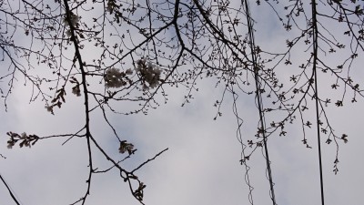 DSC_8159