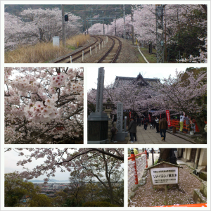 PhotoGrid_1365042162401