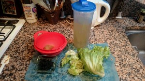 DSC_0886