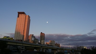 DSC_5554