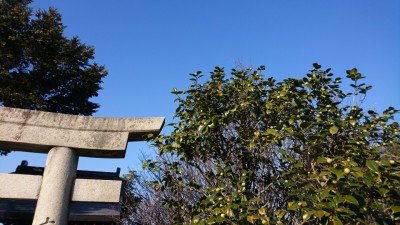 DSC_7630